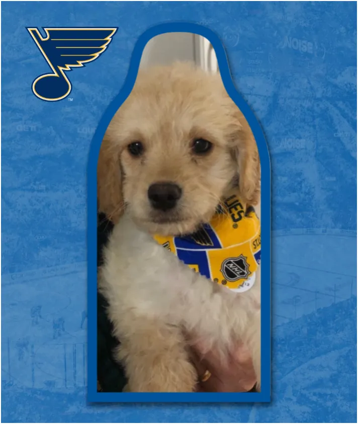 Barkin' for the Blues!