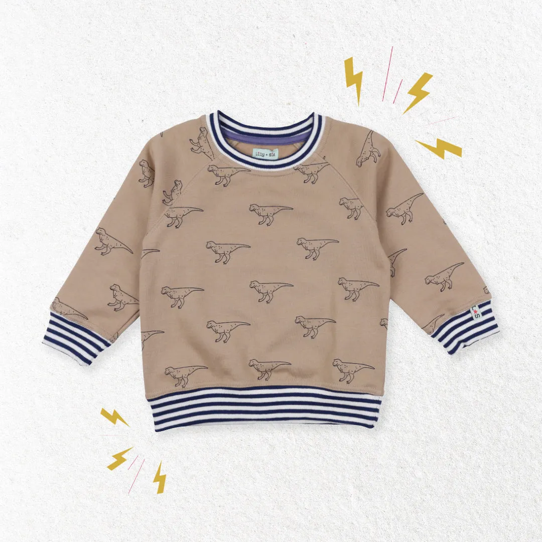 Brown Dinosaur Print Sweatshirt