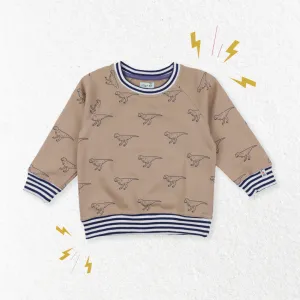 Brown Dinosaur Print Sweatshirt