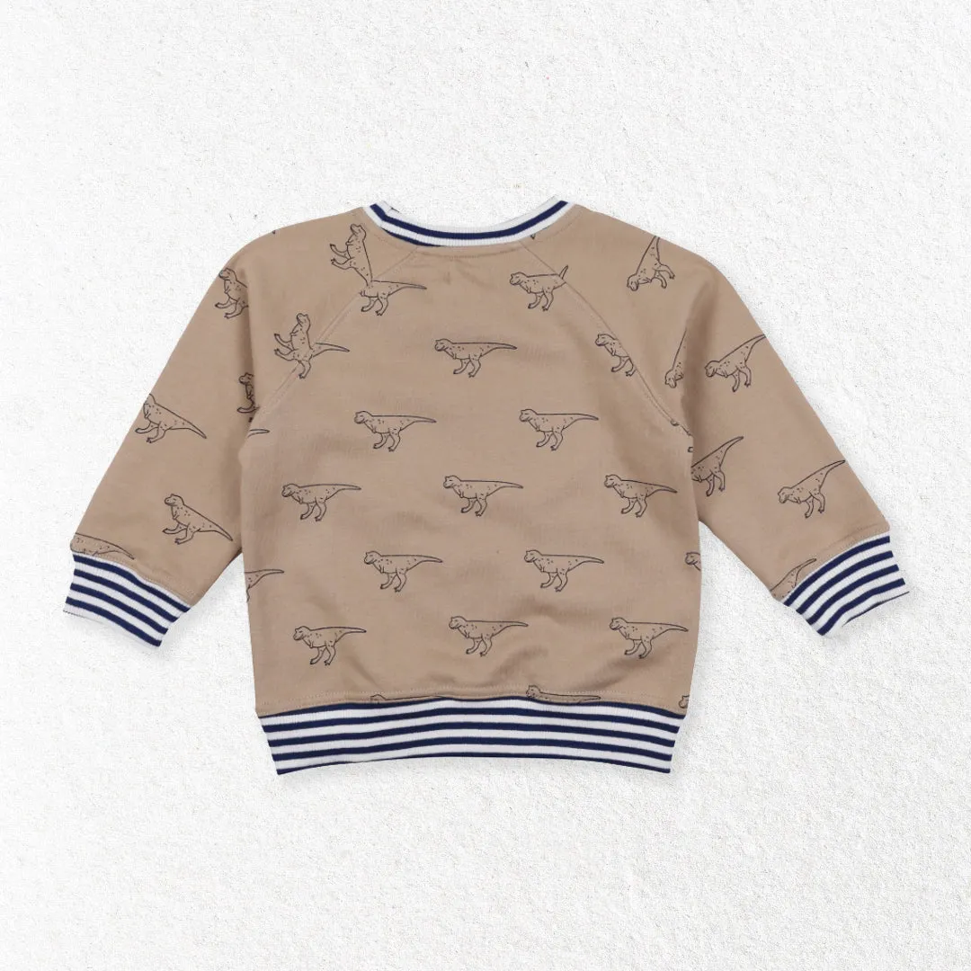 Brown Dinosaur Print Sweatshirt