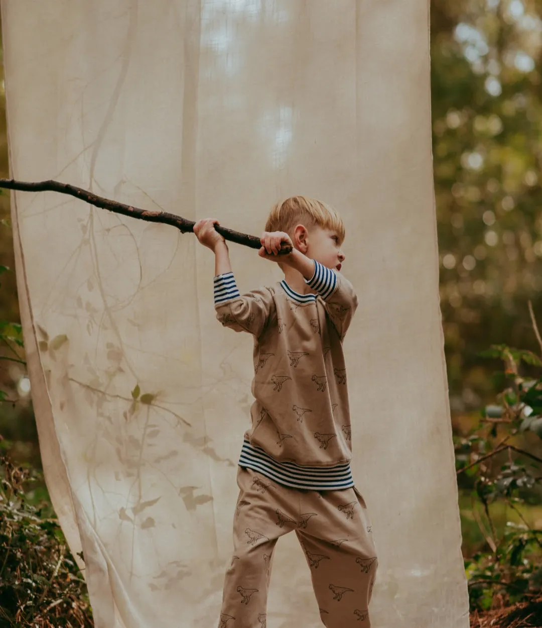 Brown Dinosaur Print Sweatshirt