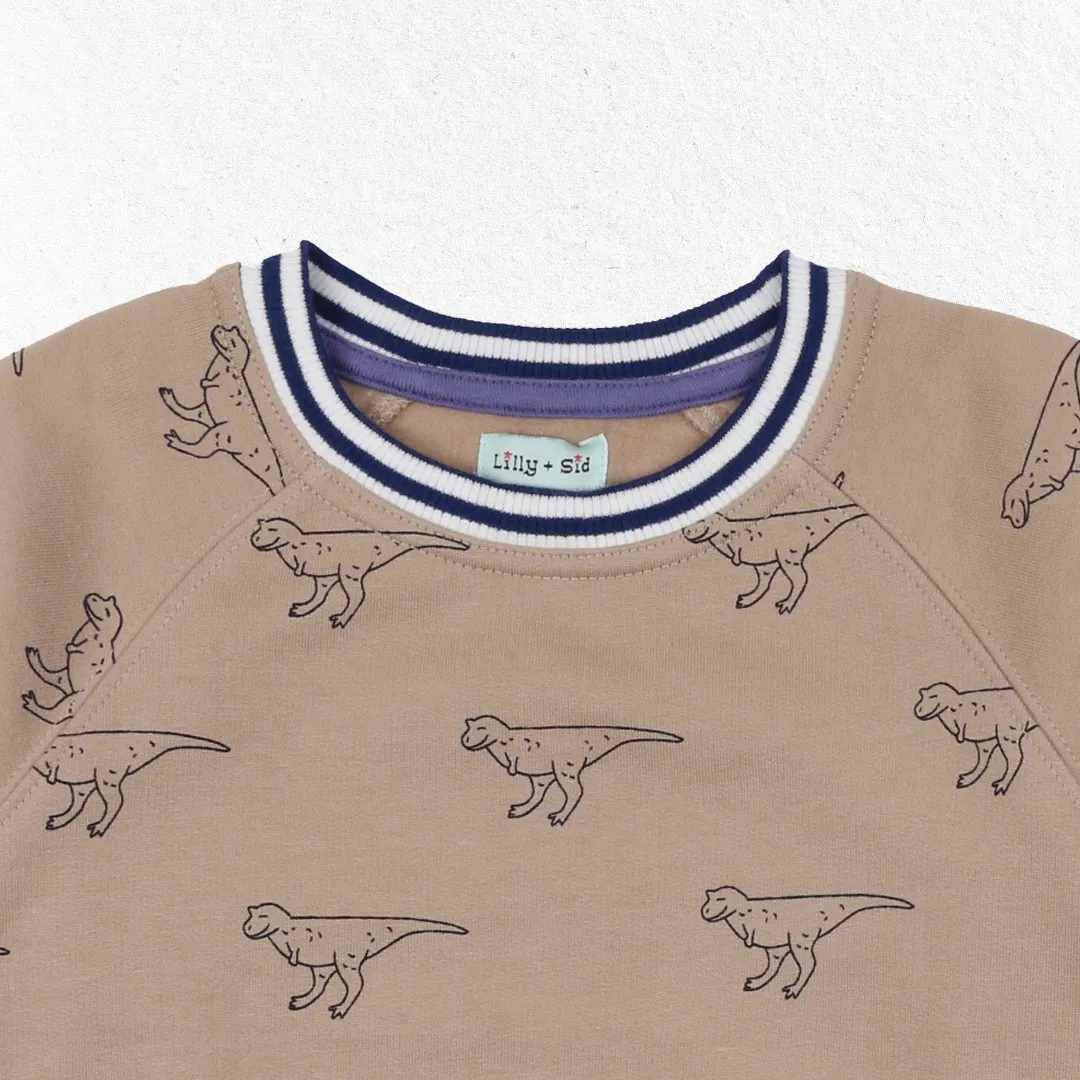 Brown Dinosaur Print Sweatshirt