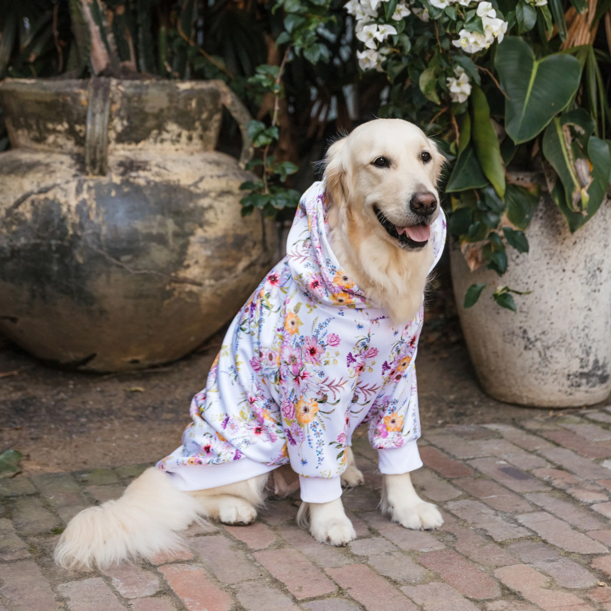 Garden Oasis Dog Hoodie