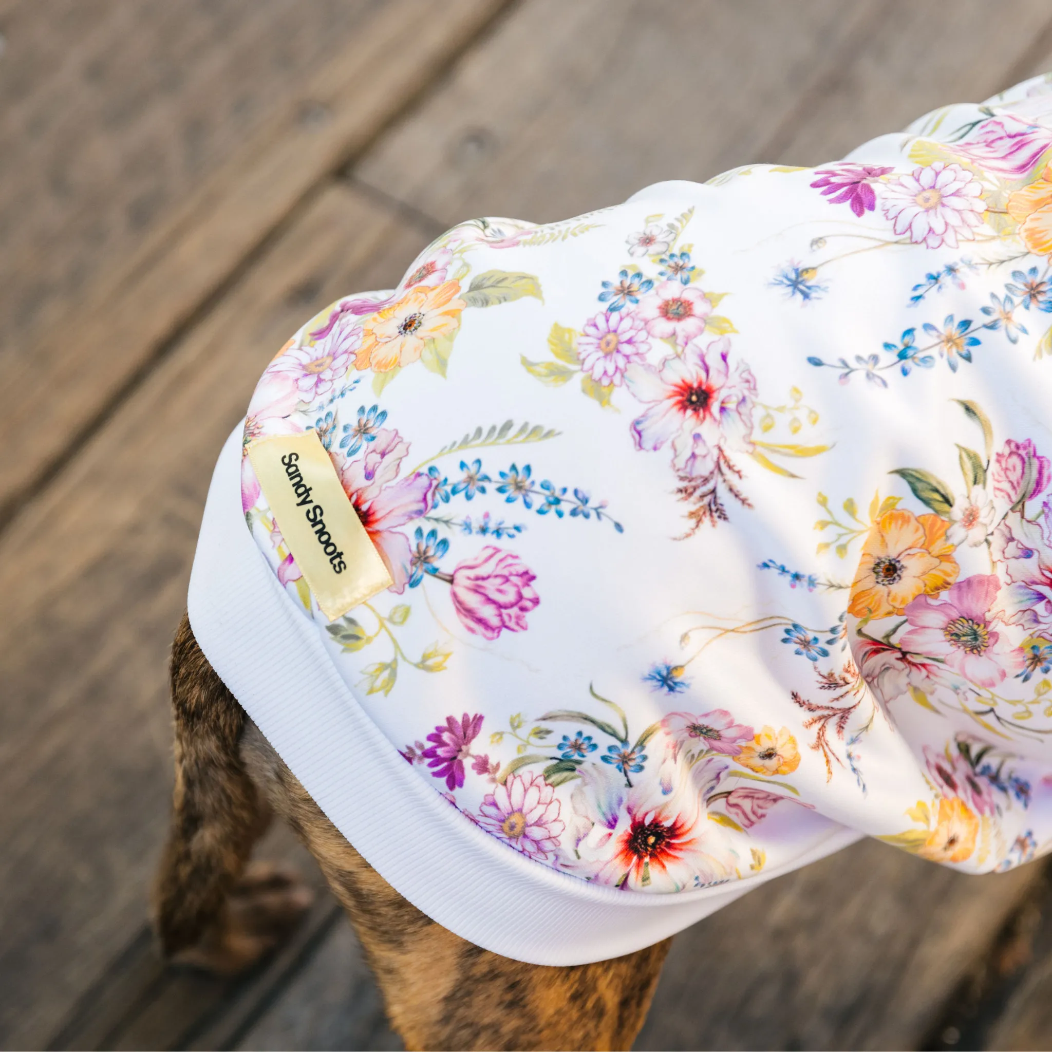 Garden Oasis Dog Hoodie