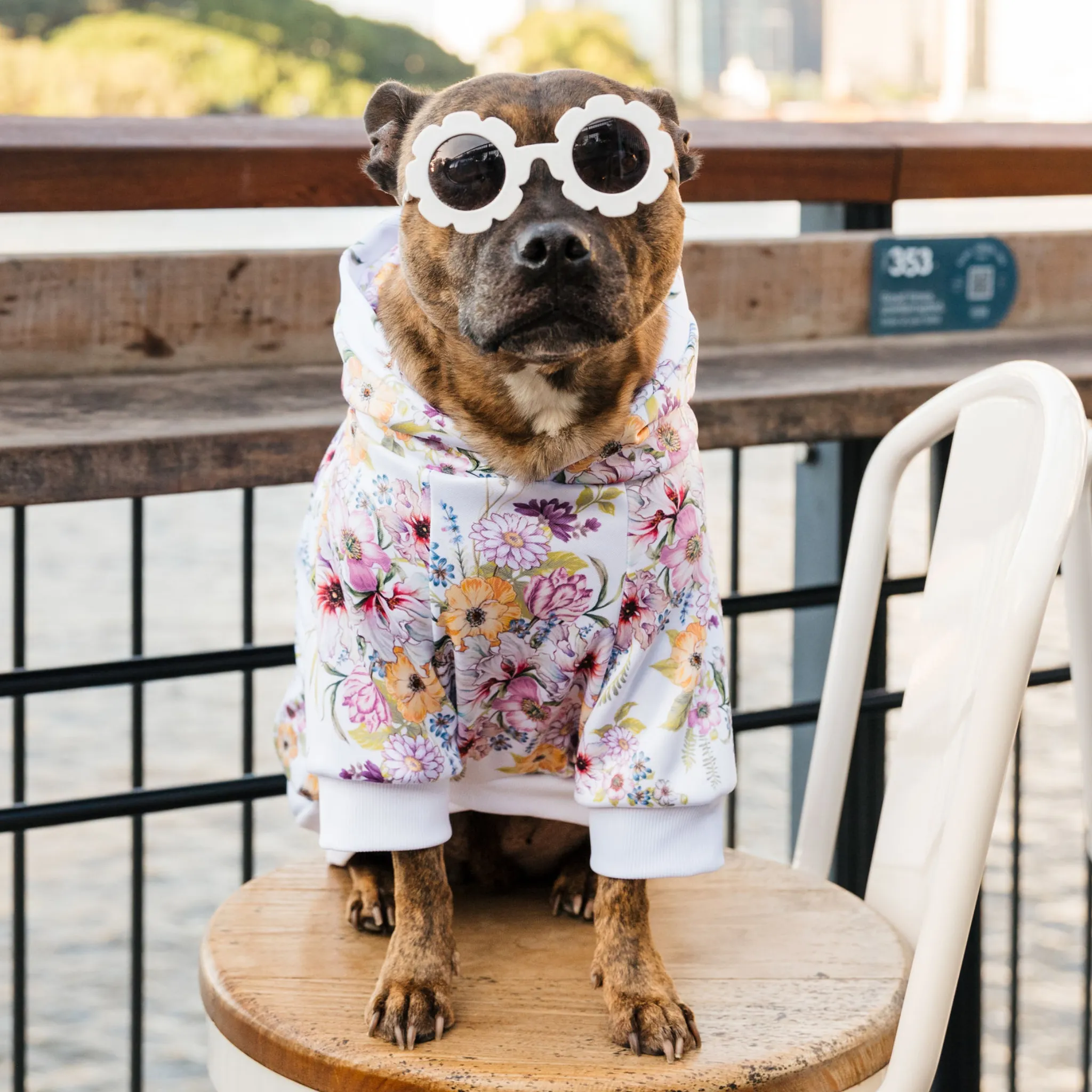 Garden Oasis Dog Hoodie