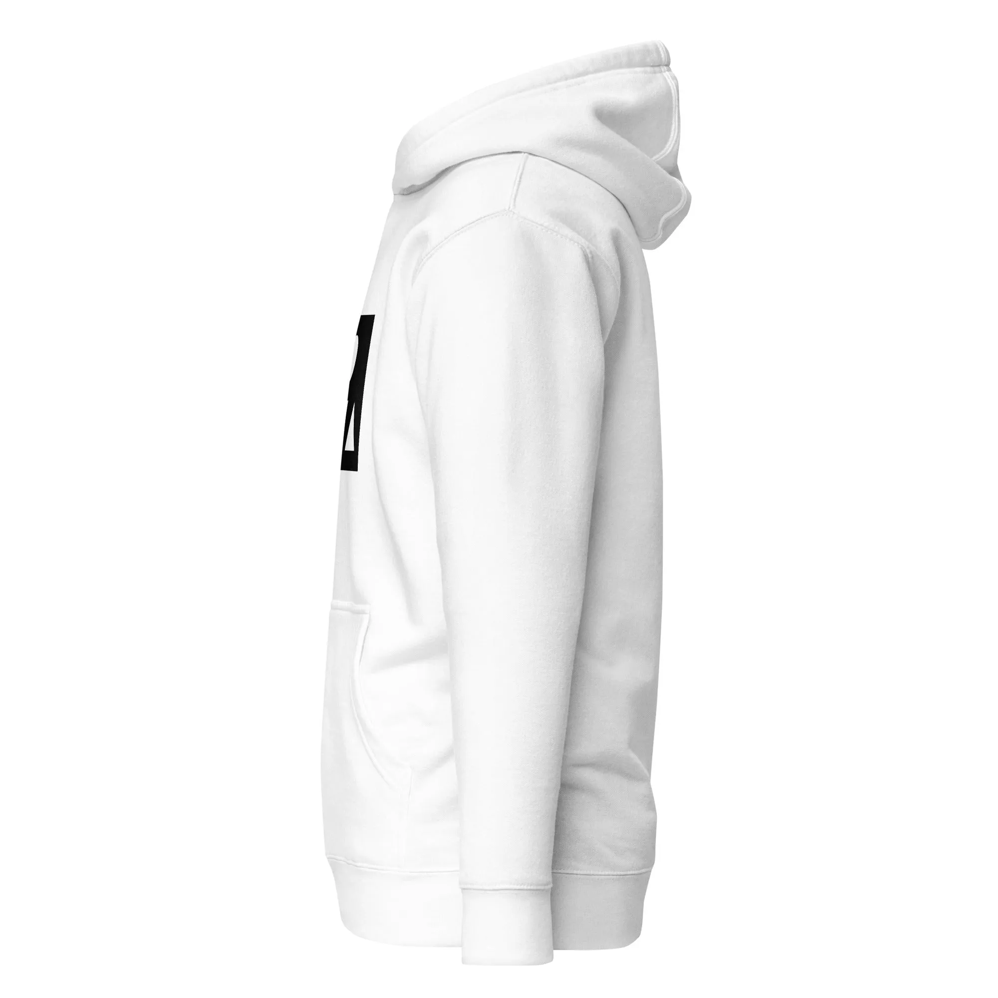 Icon-3 Inset Hoodies