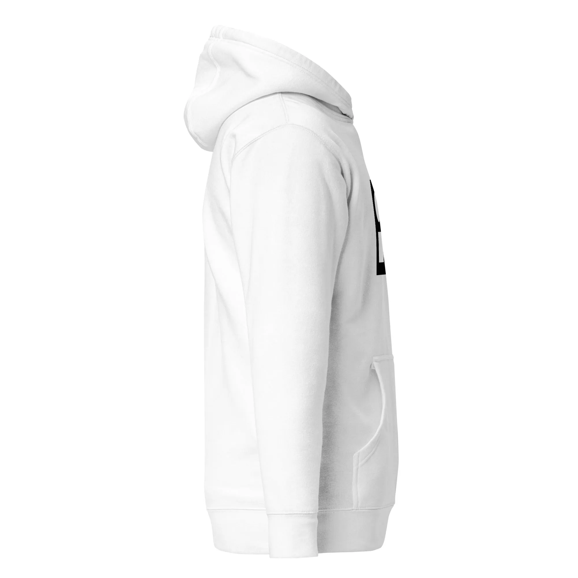 Icon-3 Inset Hoodies