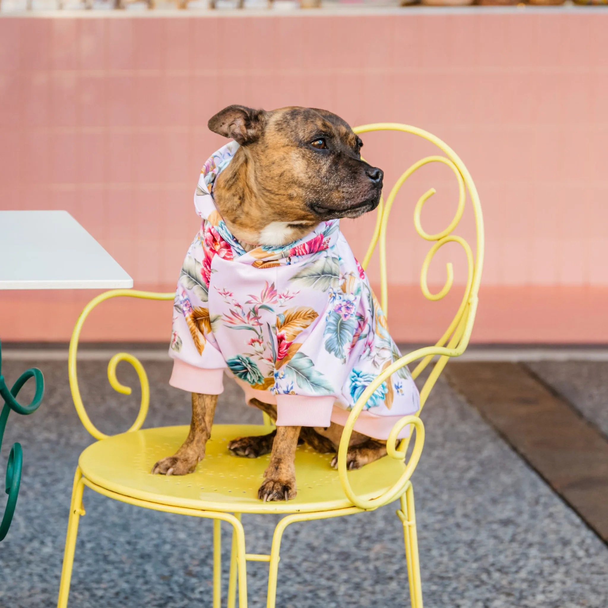 Lady of the Tropics Dog Hoodie