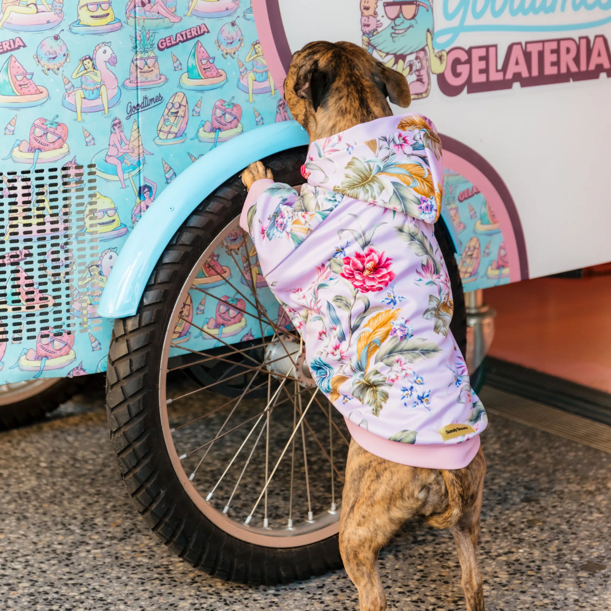 Lady of the Tropics Dog Hoodie