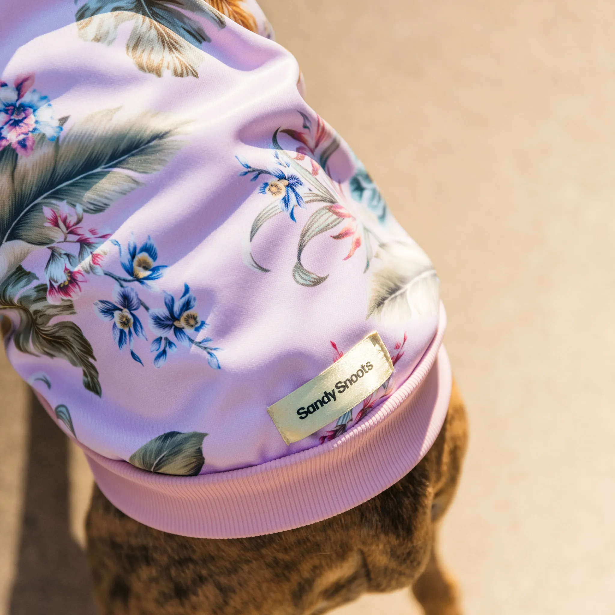 Lady of the Tropics Dog Hoodie