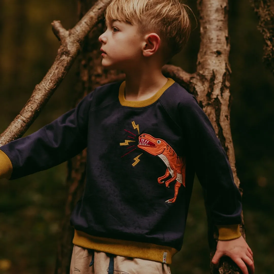 Navy Dinosaur Applique Sweatshirt
