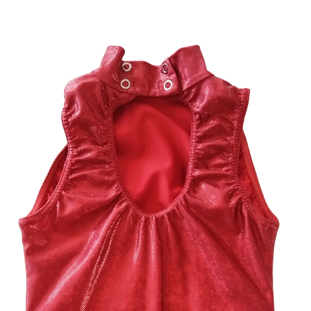 Shiny Red Leotard &  Hot Pants