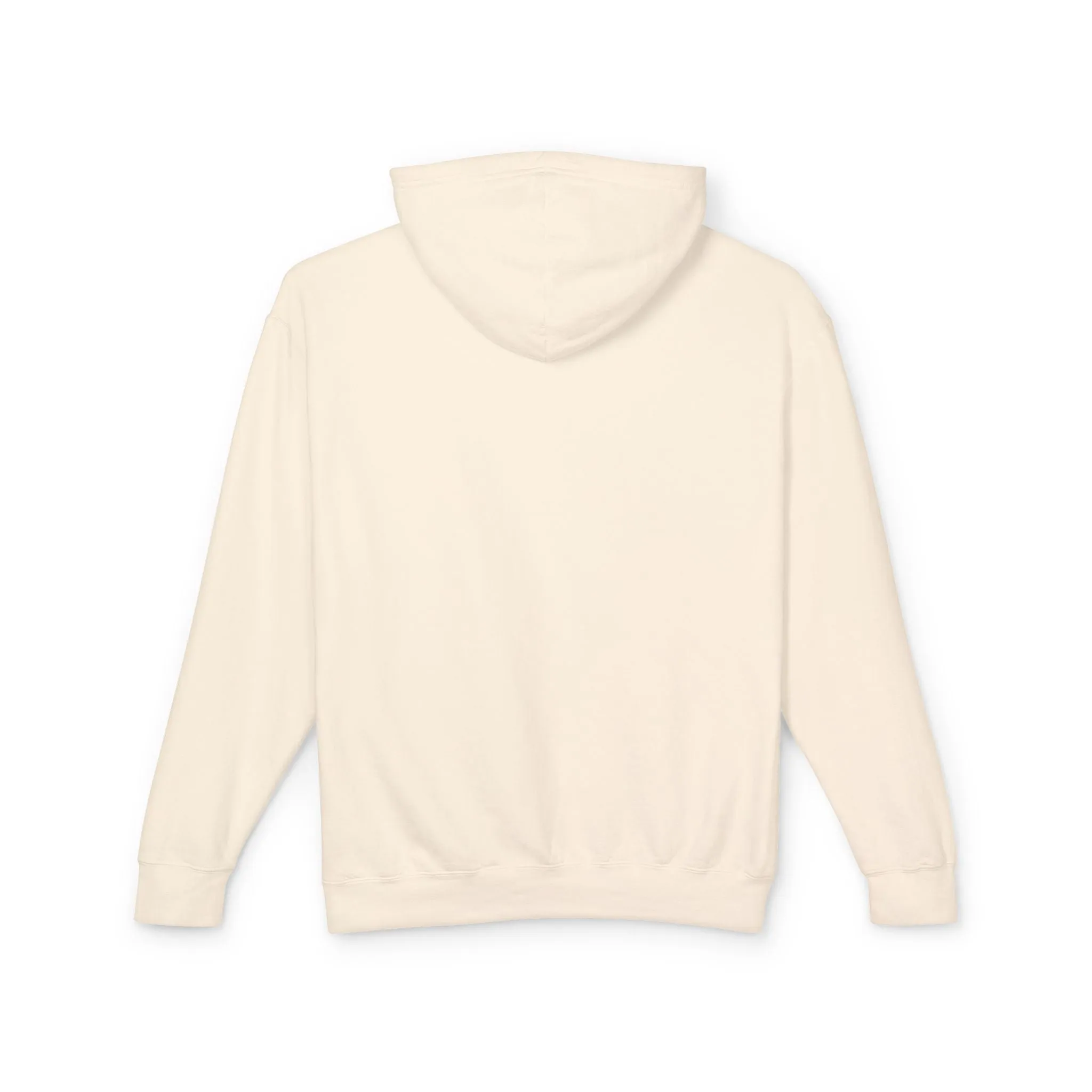 Teaching With Purpose Unisex Lightweight Hoodie Sweatshirt