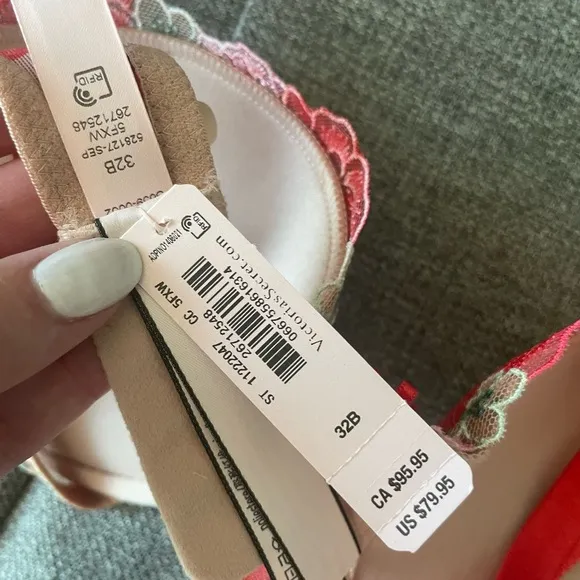 Victoria’s Secret Dream Angels Floral Embroidery Push-Up Bra 32B