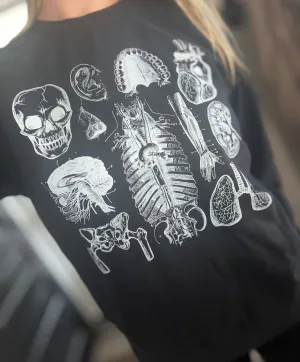 Vintage Anatomy